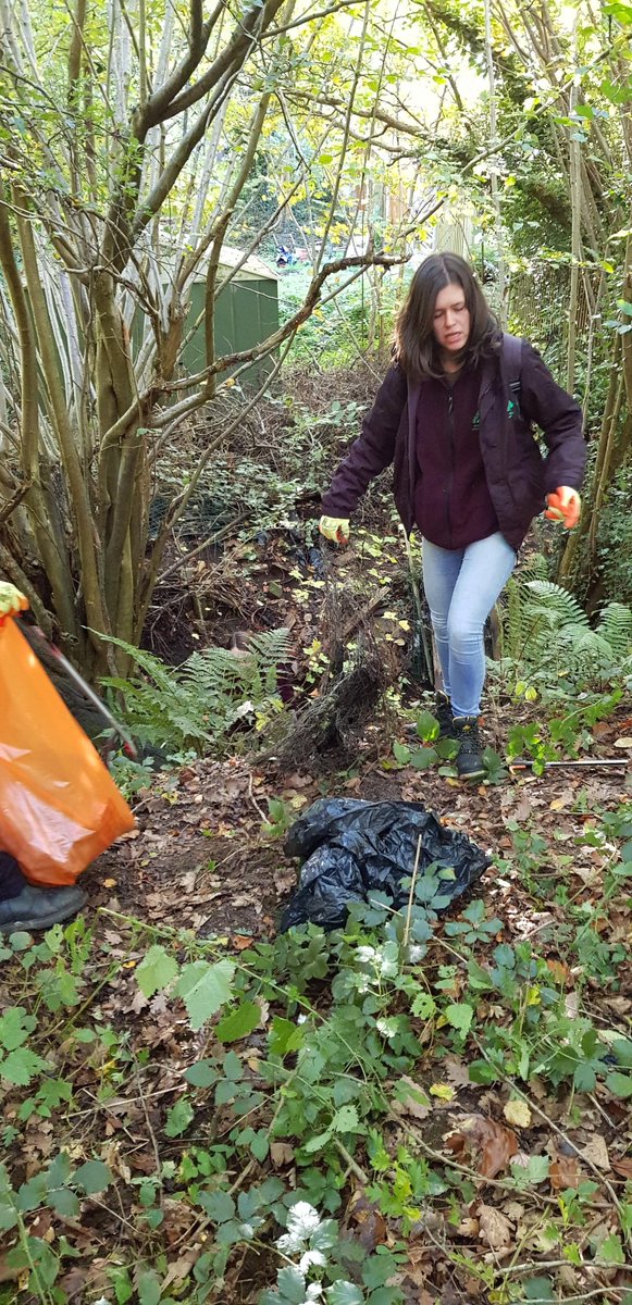 OurBackYard_CQ's tweet photo. Today our brilliant volunteers were at Llwyni Valley pulling litter out of the stream. 
We even managed to fit in a little tree ID practice.
Well done everyone! #flintshire #connahsquay #conservation @Keep_Wales_Tidy @FLVCFlintshire @FlintshireCC https://t.co/HIvsOb8DoK