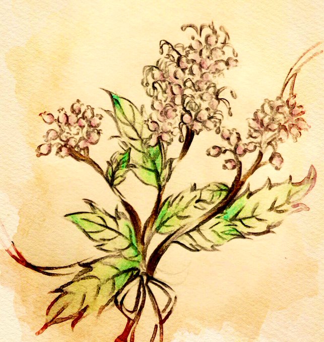 花言葉のtwitterイラスト検索結果 花言葉のtwitterイラスト検索結果