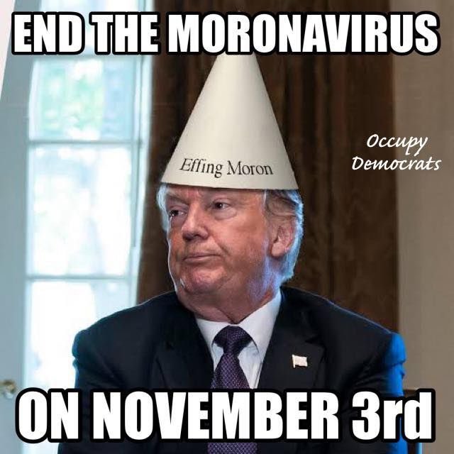 family_inmate's tweet photo. @SteveGuest @KellyannePolls #DistractorinChief is losing. #VoteEarlyRemoveTrump https://t.co/zAnziMyzyt