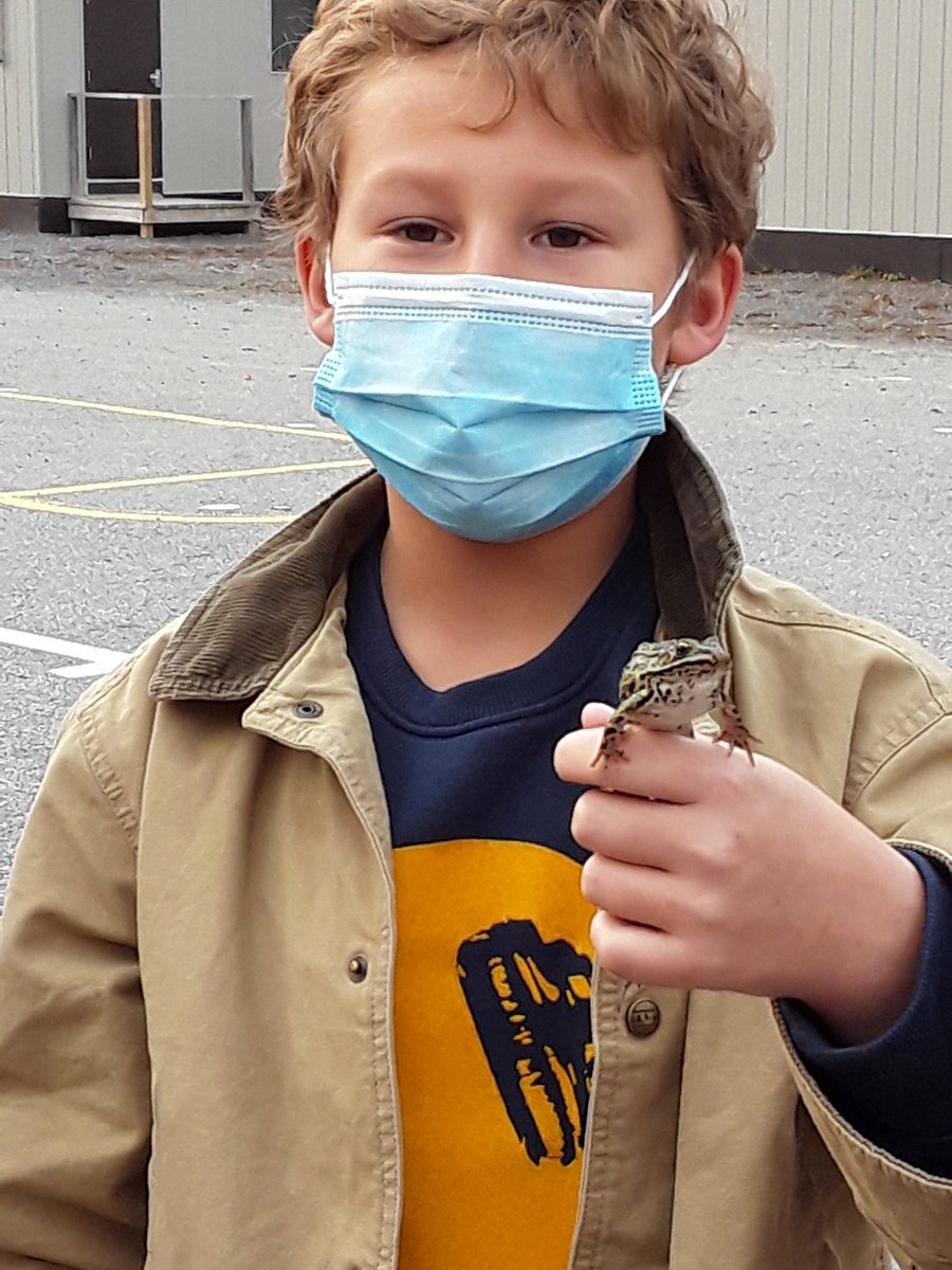 edp_stphilip's tweet photo. Our friend C found the frog this morning on the pavement. We observed the frog and our friend Jacob took the frog to the fence, so the frog wouldn't get stepped on. @StPhilipOCSB #froghunting https://t.co/6pK2L7vGUS