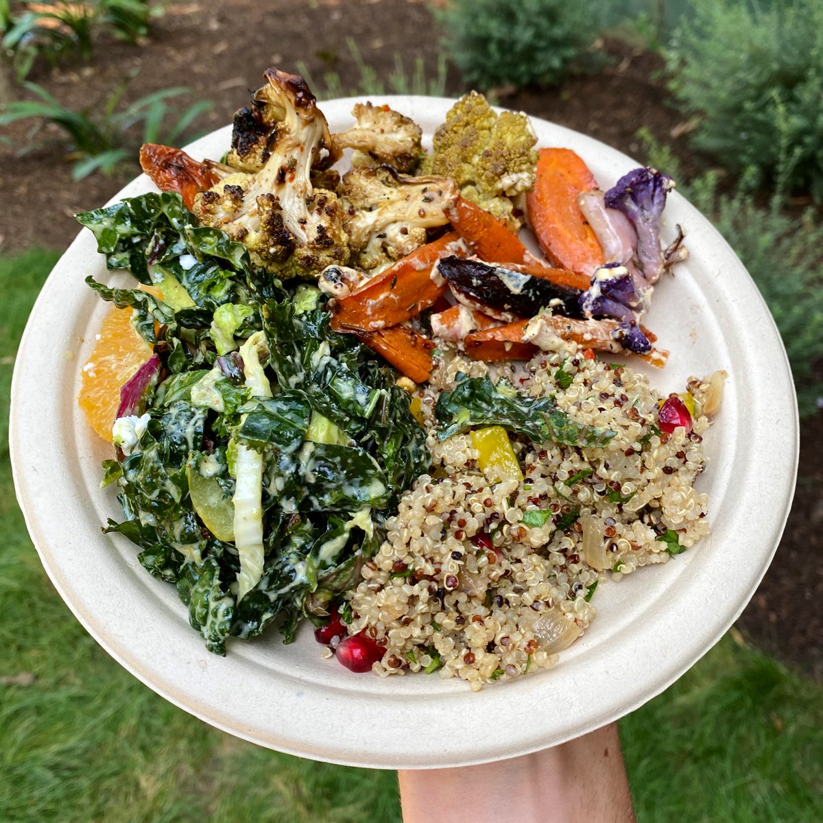 Damn it feels good to eat vegan.