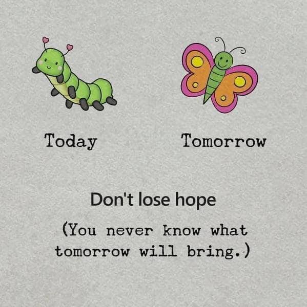 Don't lose hope! 

#faith #hope #love #peace #fcucc #ucc #christianity #lgbt