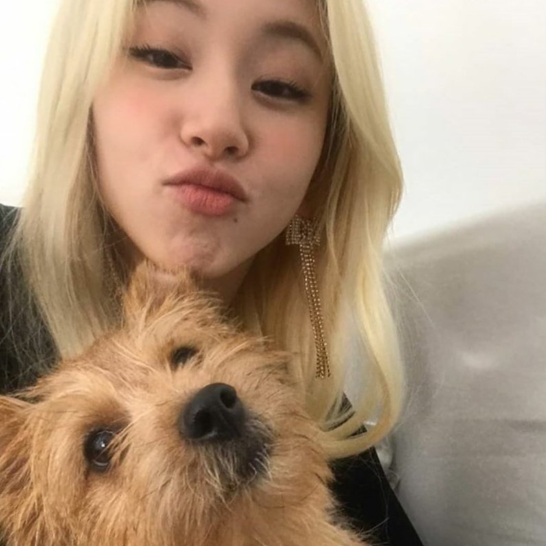 chaeyoungpic's tweet photo. twicetagram update https://t.co/WHRby7lxAq