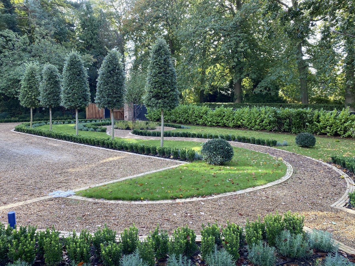 Are the leaves supposed to change colour like that???? Nice weather for bulb sowing....all 3000 of them. <a href="/PollyannaWGD/">Pollyanna Wilkinson</a> <a href="/_LONDONSTONE/">London Stone</a> <a href="/CEDStoneGroup/">CED Stone Group</a> <a href="/Vande_Moortel/">Brickworks Vande Moortel</a> <a href="/CreepersKT15/">Creepers Nursery</a> <a href="/championtimber/">Champion Timber 🏆🌲</a> <a href="/Royceturf/">Royce Turf</a> <a href="/NorthHill13/">North Hill Nurseries</a> @koolhandedkid