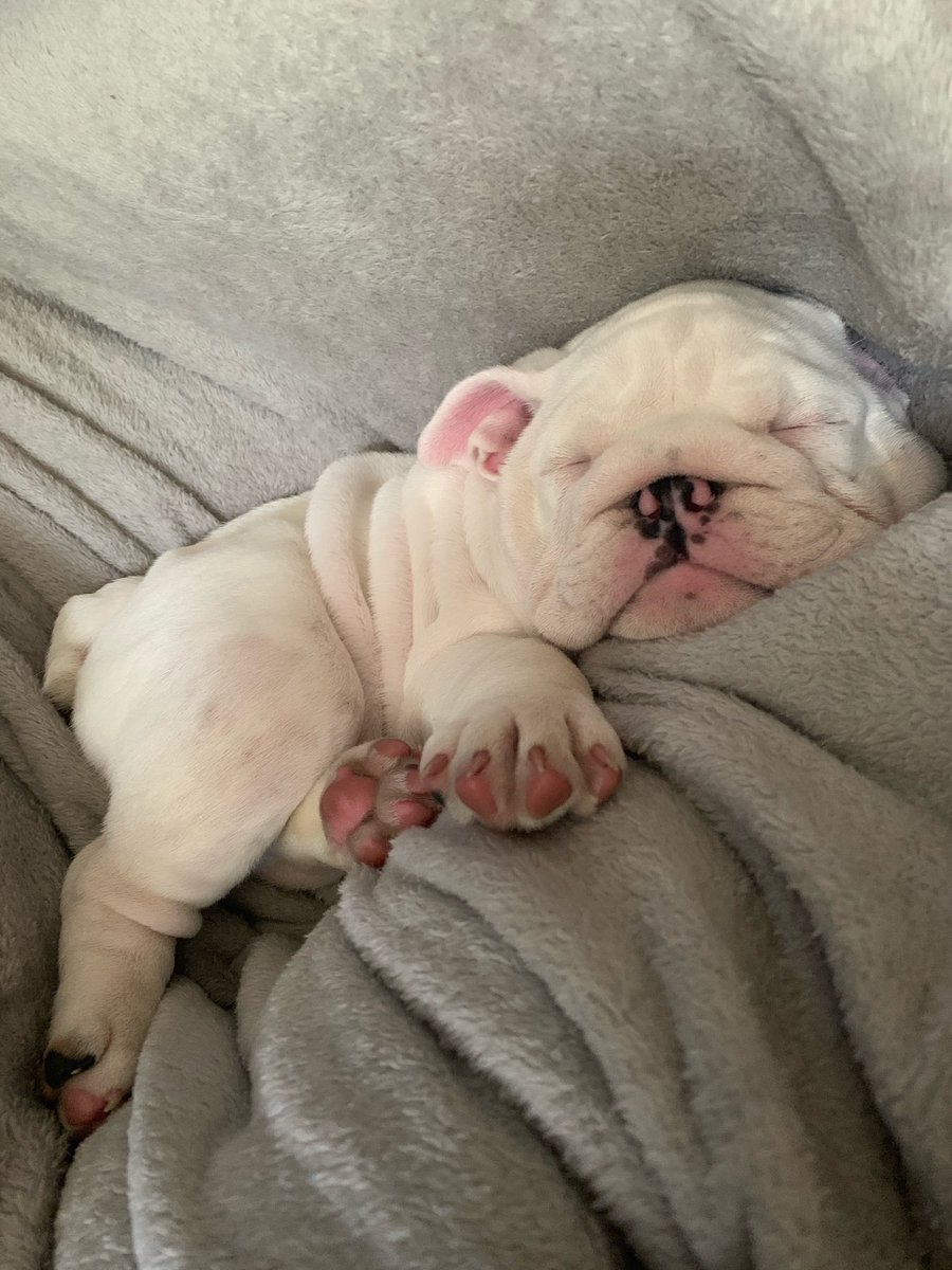 rilesgrace's tweet photo. squish https://t.co/3McBiBulp1