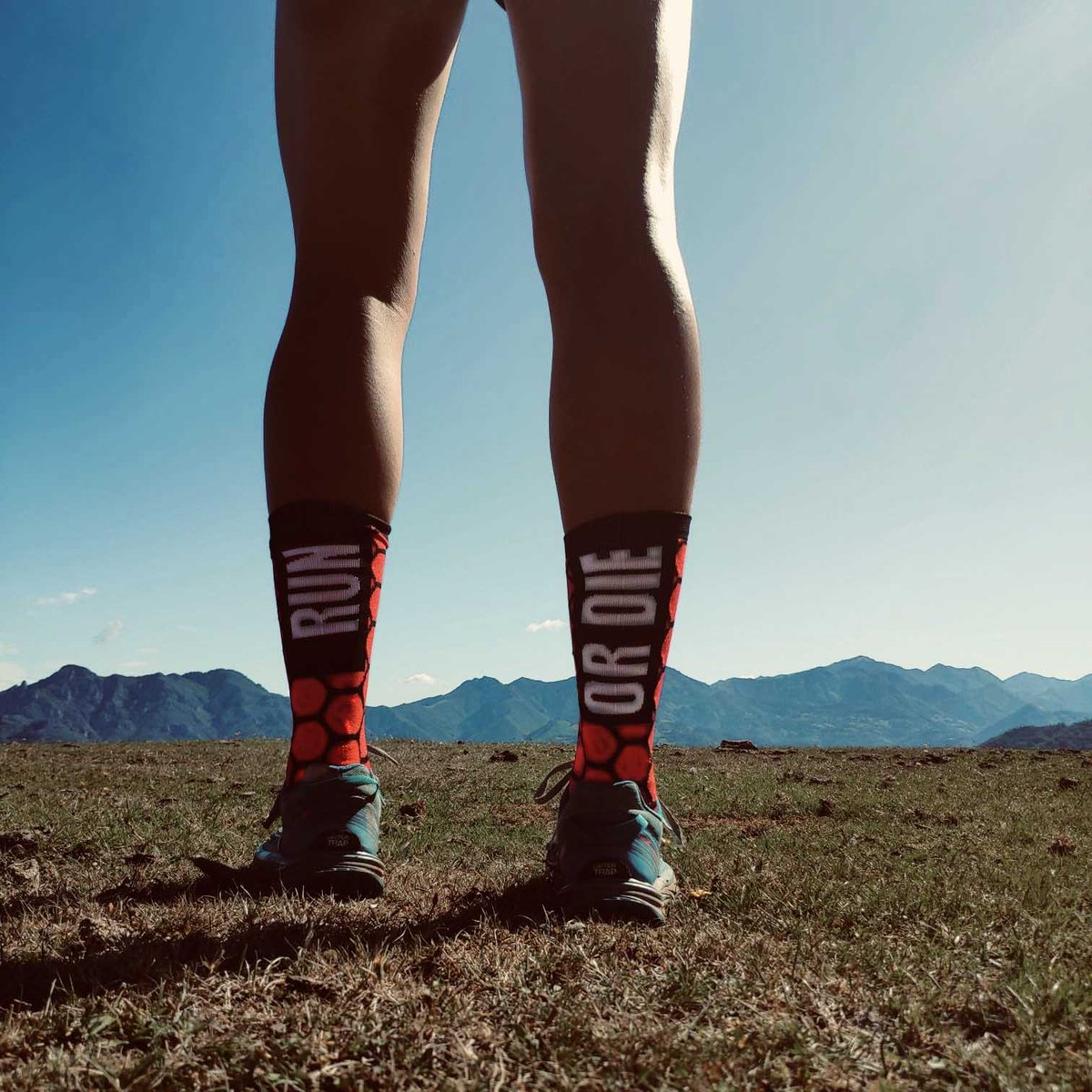 perrolococl's tweet photo. 🏔️#RUNORDIE ⛰️
*
*
*
📸 @clauddina_
*
#running #trailrunning #socks #calcetines #calcetinesoriginales #calcetinesdecolores #calcetinesdeportivos #calcetinesrunning #runningsocks #calcetinescompresivos #runningmotivation #runningcommunity #runningaddict #runningday #runningtime https://t.co/vUCbqcD2fd