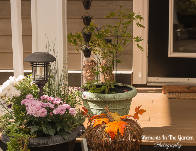 MomentsintheG's tweet photo. My front porch and patio area is starting to look a little bare after dismantling baskets and containers. Luckily I still have my fall planter providing colour plus a few begonias. #frontpatio #fallflowers #frontporch #fallplanter #begonias #momentsinthegardenphotography https://t.co/iVA1TLsuVZ