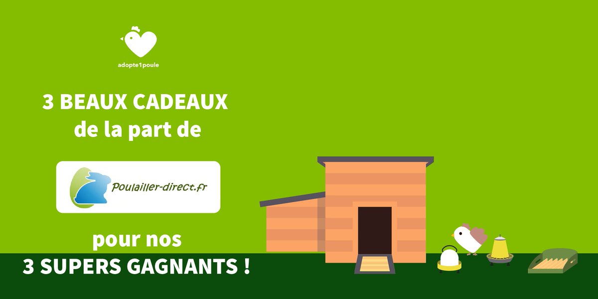 Adopte1poule (@Adopte1poule1) Twitter