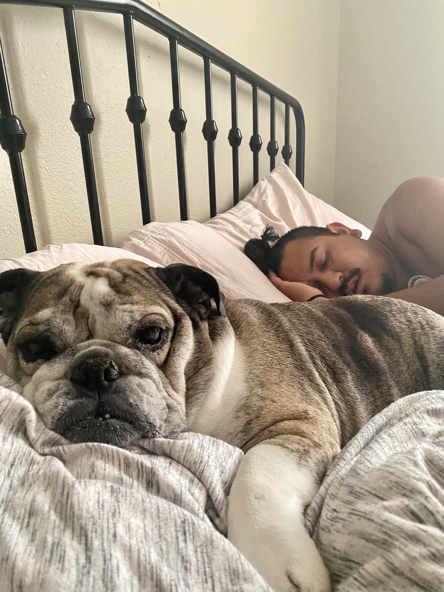 get up for two seconds and come back to this..