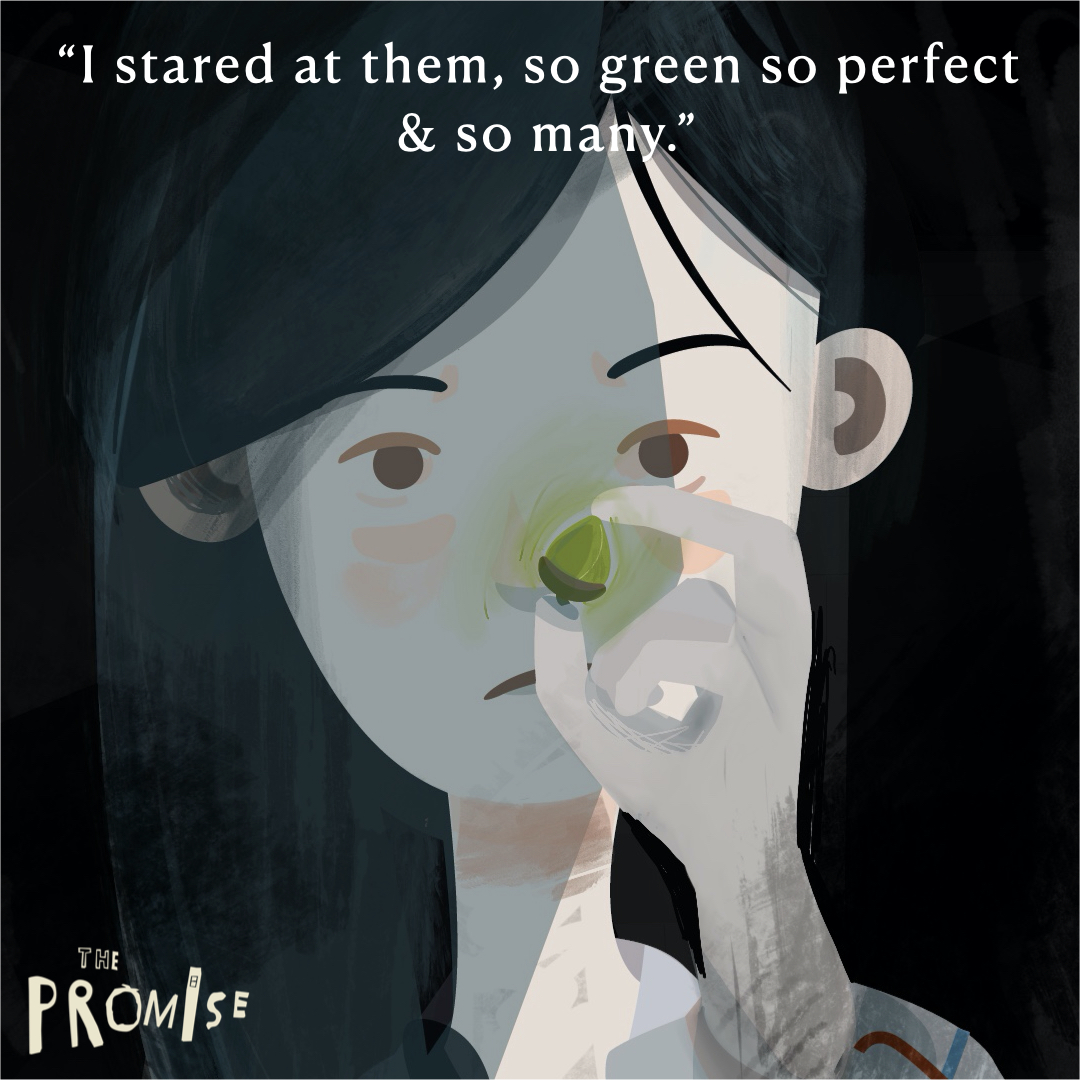 The Promise launches tomorrow! 🌱 - mailchi.mp/2ce2c4805de6/t…