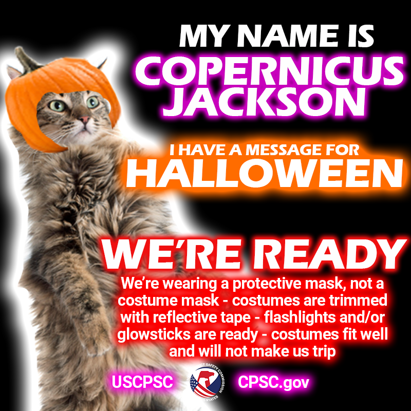 A cat named Copernicus Jackson wearing a pumpkin for a hat. The text reads: My name is Copernicus Jackson. I have a message for Halloween. We're ready. We're wearing a protective mask, not a costume mask, costumes are trimmed with reflective tape, flashlights and/or glowsticks are ready, costumes fit well and will not make us trip.