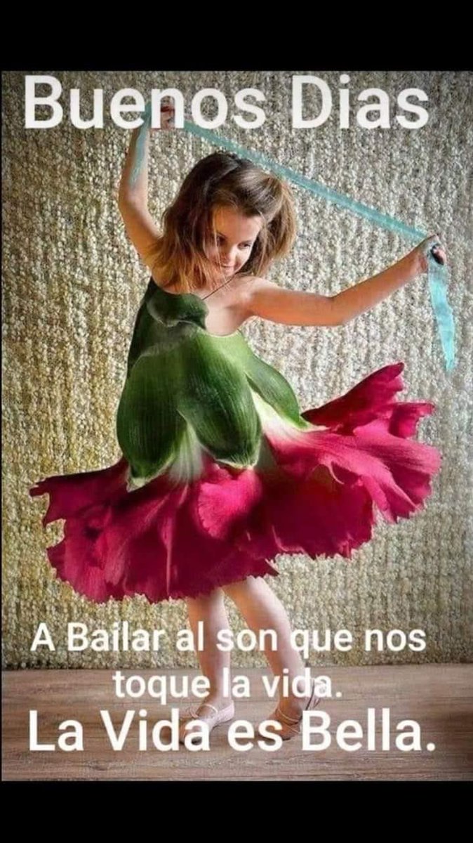 macjluf's tweet image. 