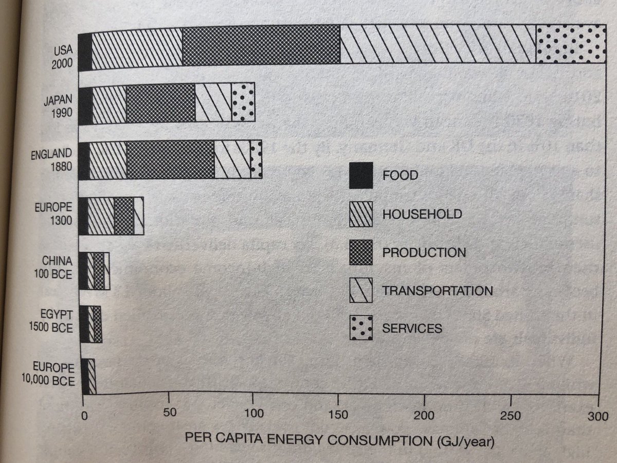 Daniel McNamara tweet media