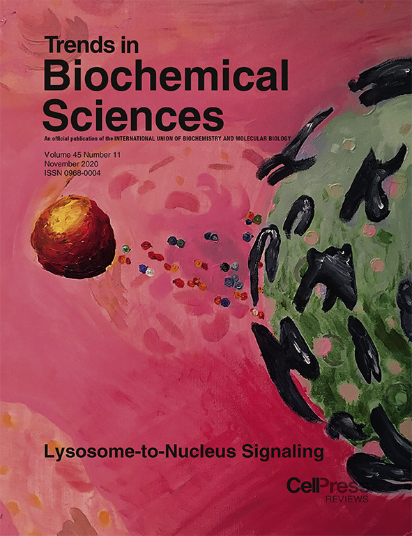 TrendsBiochem's tweet photo. On the cover this month, the @WangLabBCM depicts the communication between lysosomes and the nucleus.

https://t.co/Q7N0arSi63 https://t.co/KmLz9TTupR