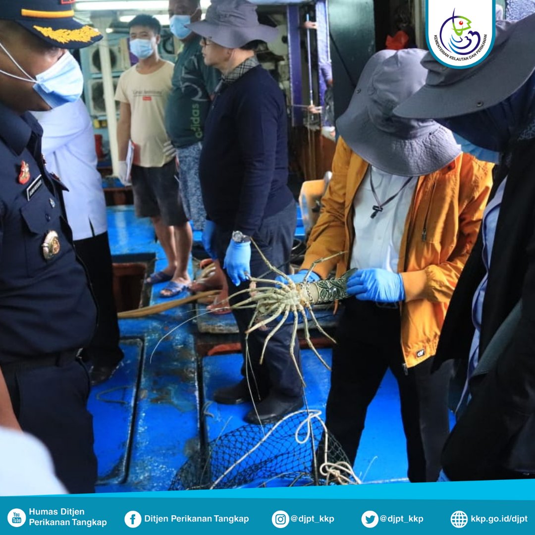 Direktorat Jenderal Perikanan Tangkap tweet media
