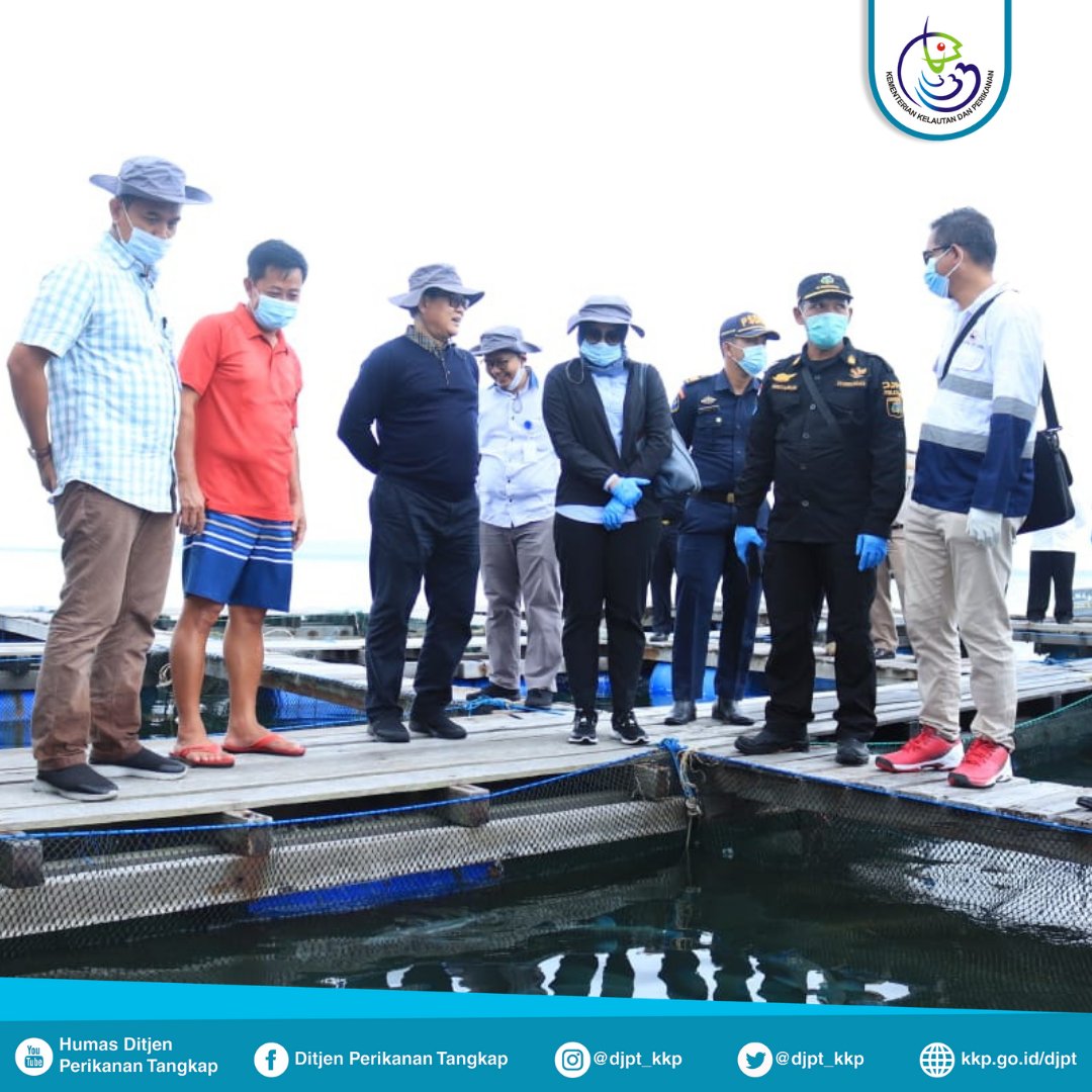 Direktorat Jenderal Perikanan Tangkap tweet media