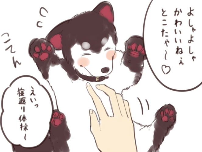 これは子犬姿(?)のtkちゃん 