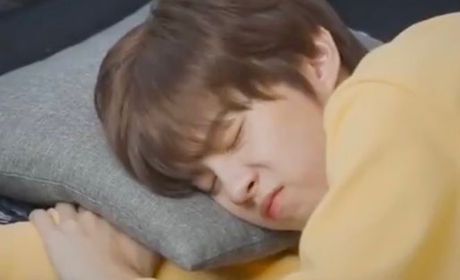 บอเค่น יִ 🍼🐖💕 tweet media