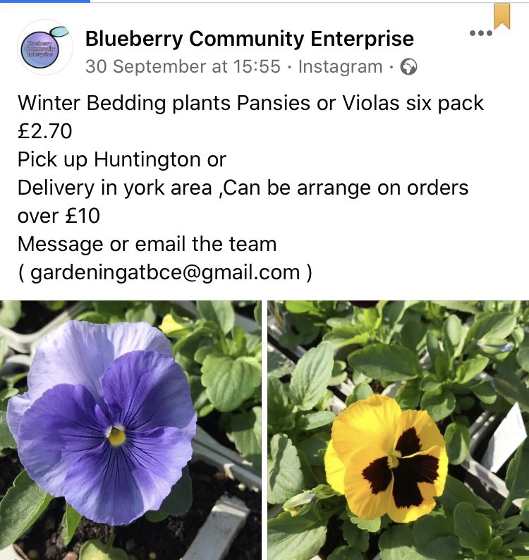 Blueberry community enterprise tweet media