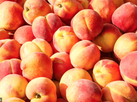 AefaAgro's tweet photo. ¿Cómo se sabe si un #melocotón es dulce sin darle un bocado? #Sensores para detectar el melocotón más #dulce 🍑💻  https://t.co/t5Oalmk7BV https://t.co/SRfkGKDj5v