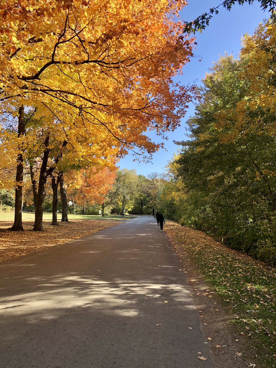 MsCurry8's tweet photo. Beautiful fall morning for a walk!🍁 🍂 #totalbodyfitness https://t.co/6giiLTxL2W