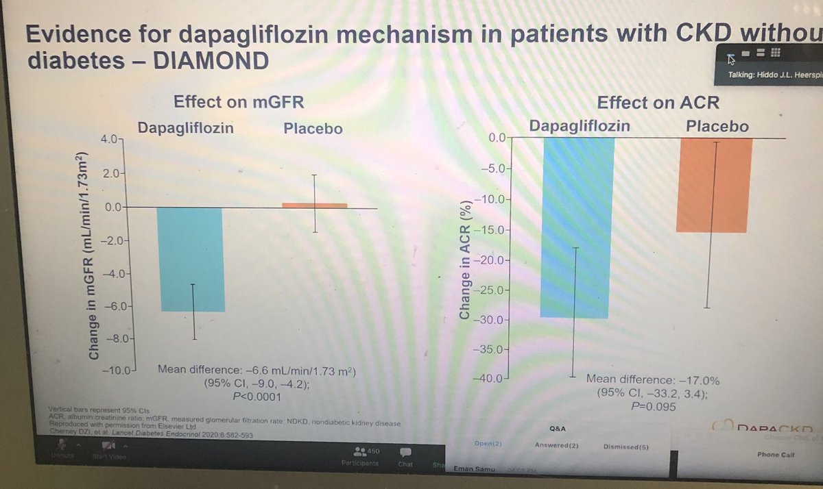 KateIsabelle24's tweet photo. @eraedta 1st #eseminar happening now! Hiddo Heerspink on all things #SGLT2i they are proximal diuretics but with lots of additional benefits🤩...tune in now #dapackd featuring now @ChristophWanne4 @Giusepp79923064 @JuanCarlosAlmi YouTube later if you can’t come now 👆🏻🎉 https://t.co/mXOIC4NNro