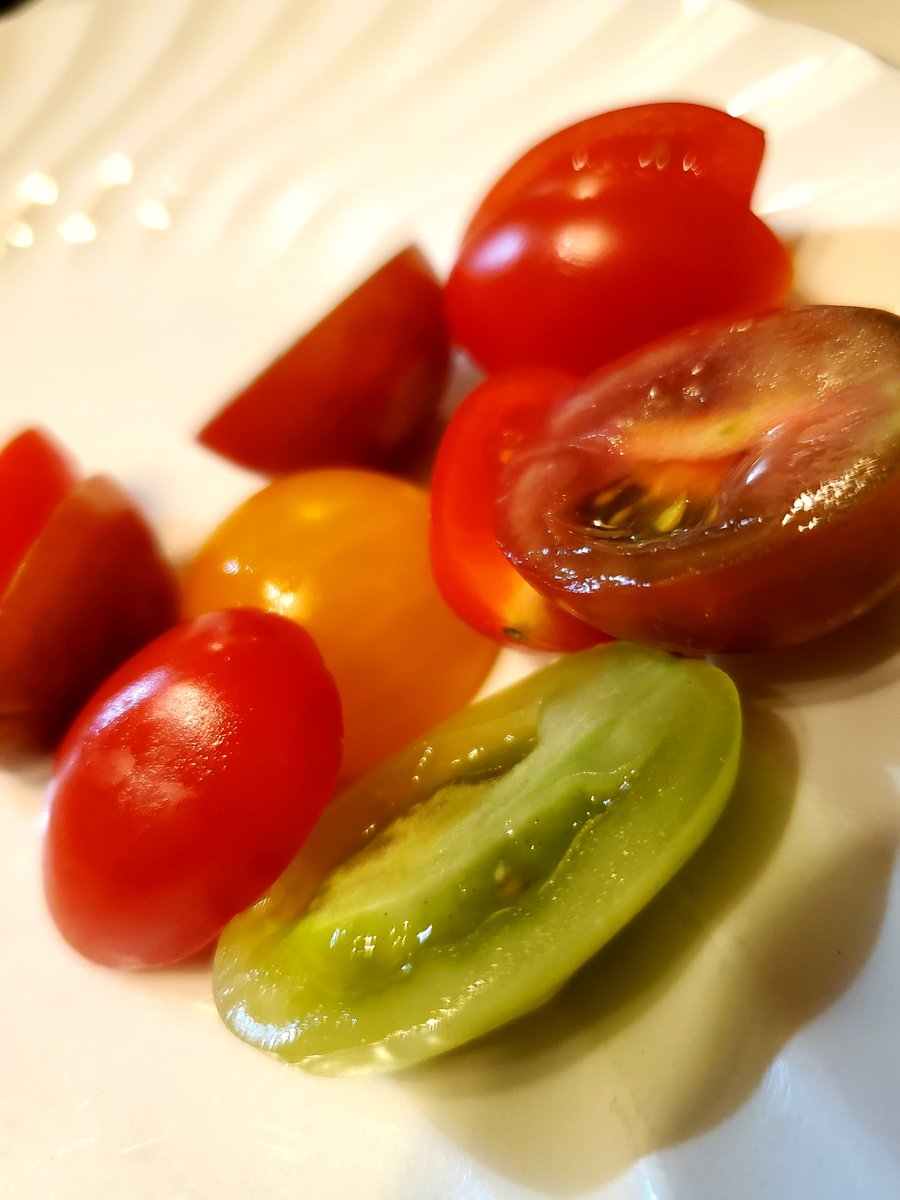 5OjoBB's tweet photo. At the 5 Ojo Inn Bed and Breakfast, we begin with freshest ingredients and end with the happiest bellies! 😄

#eurekasprings #bedandbreakfast #breakfast #quiche #tomatoes #foodies #5Ojo https://t.co/vW4I0yYNdR