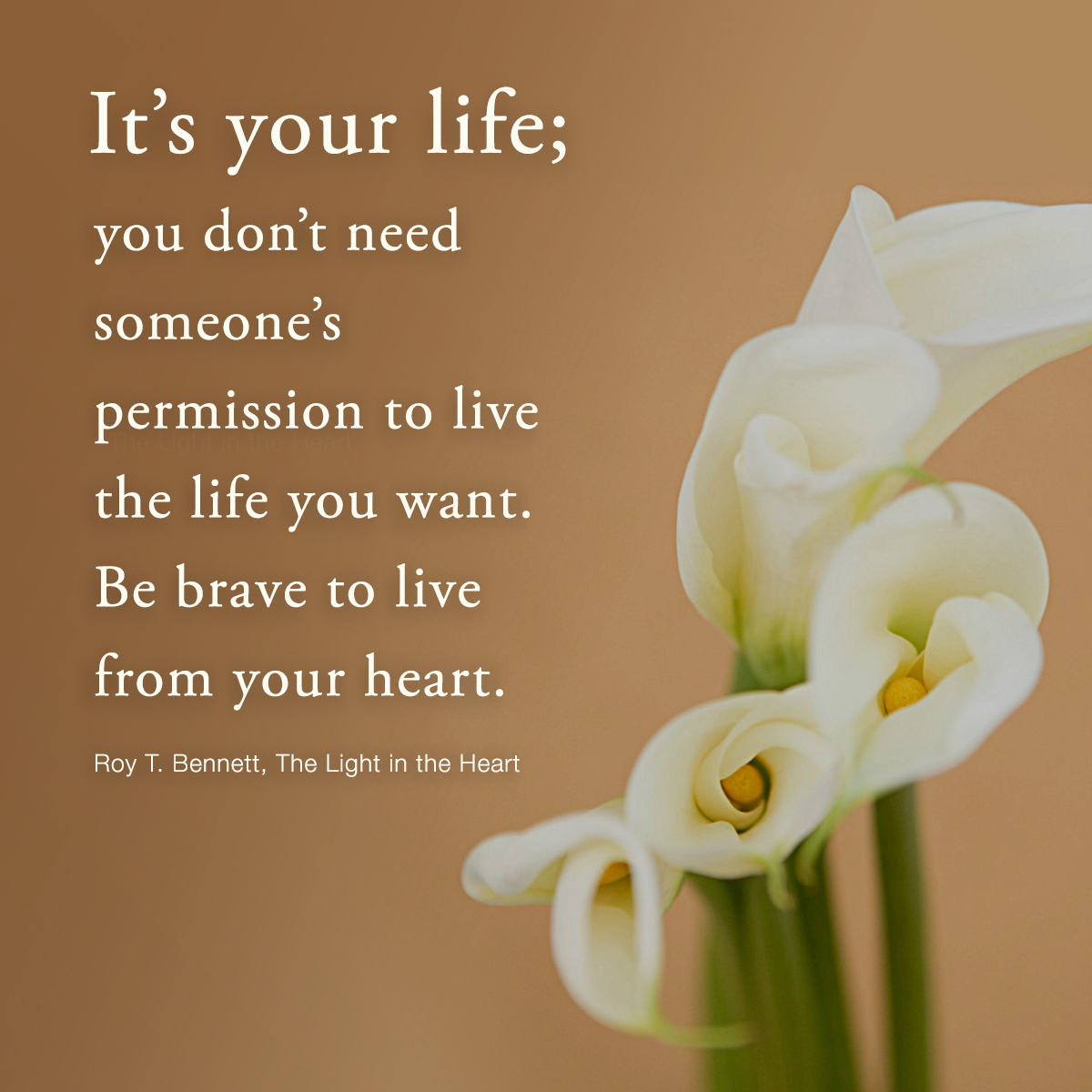 Roy T Bennett Sur Twitter It S Your Life You Don T Need Someone S Permission To Live The Life You Want Be Brave To Live From Your Heart Roy T Bennett The Light