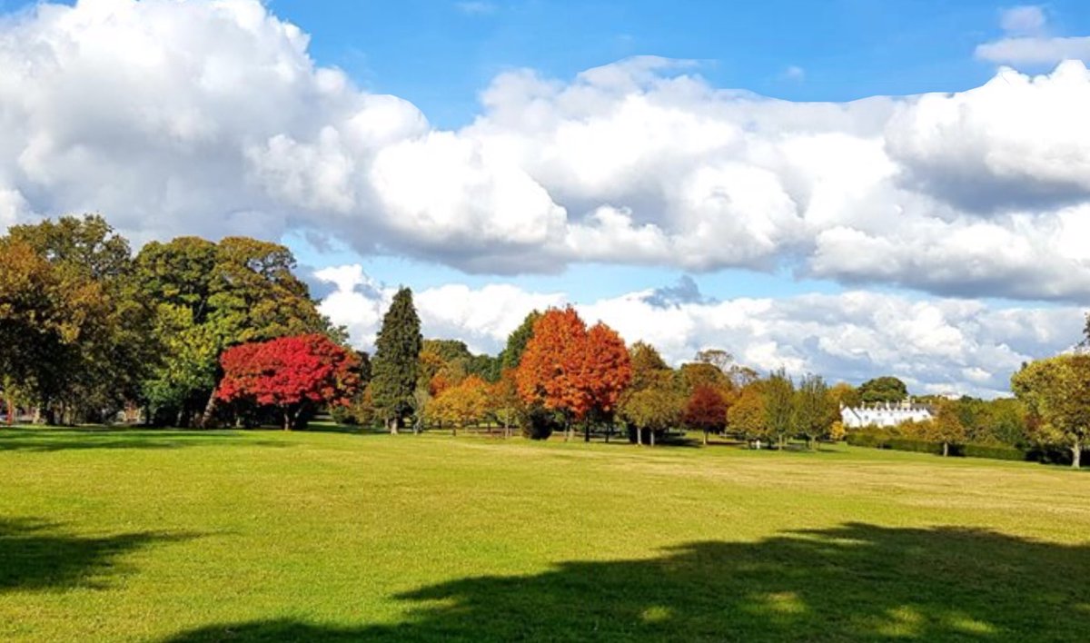 ⁦⁦<a href="/PypeHayesPark/">Pype Hayes Park</a>⁩ 
This place 🥰