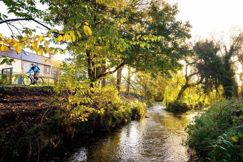 ConnsGreenway's tweet photo. We are delighted to retain our #GreenFlag Award status for another year, alongside 19 other parks in Belfast.Thank you @belfastcc &amp; our staff/ volunteers &amp; local community who continue to care and look after our parks and open spaces on the Greenway. https://t.co/CLPic7FU1i