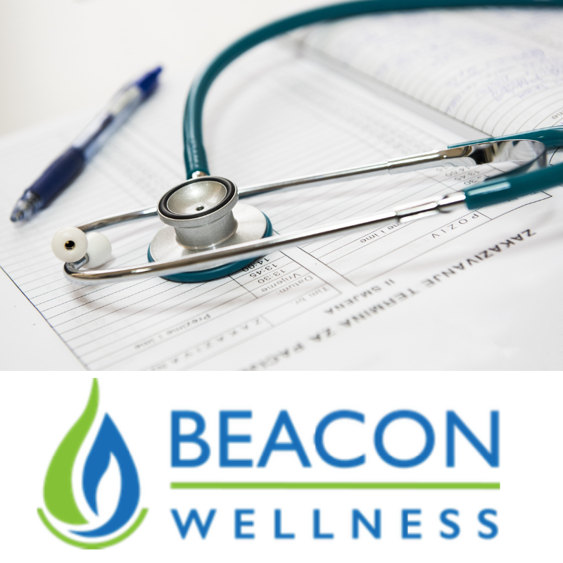 Firle Garden Show tweet media