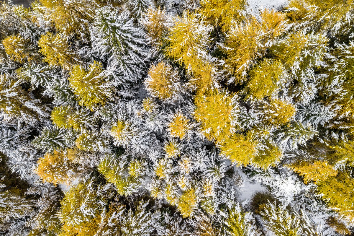 🔴 Notre "Canada Varsinc" ce matin... 😍❄💕🙏 #FouDeVars #MyHautesAlpes