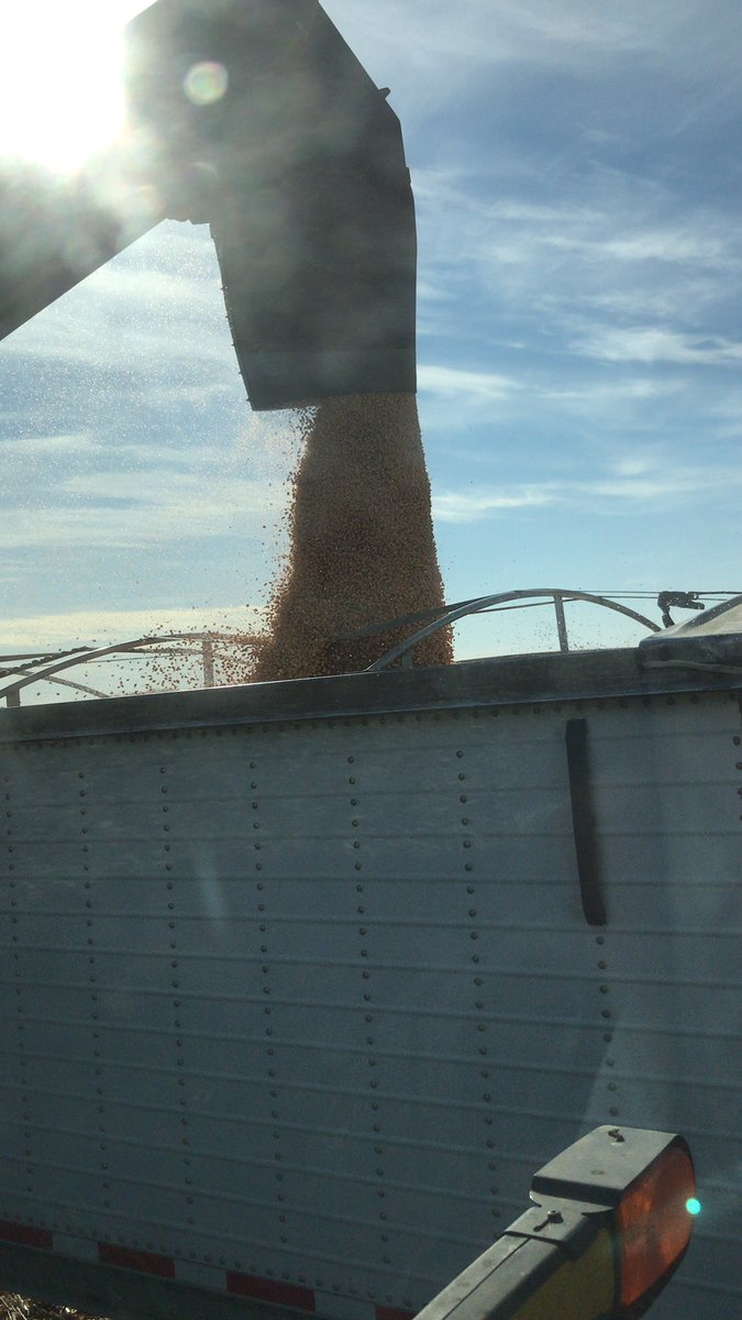 FultzJay's tweet image. Fanonthefarm enjoying a great day harvesting corn.
