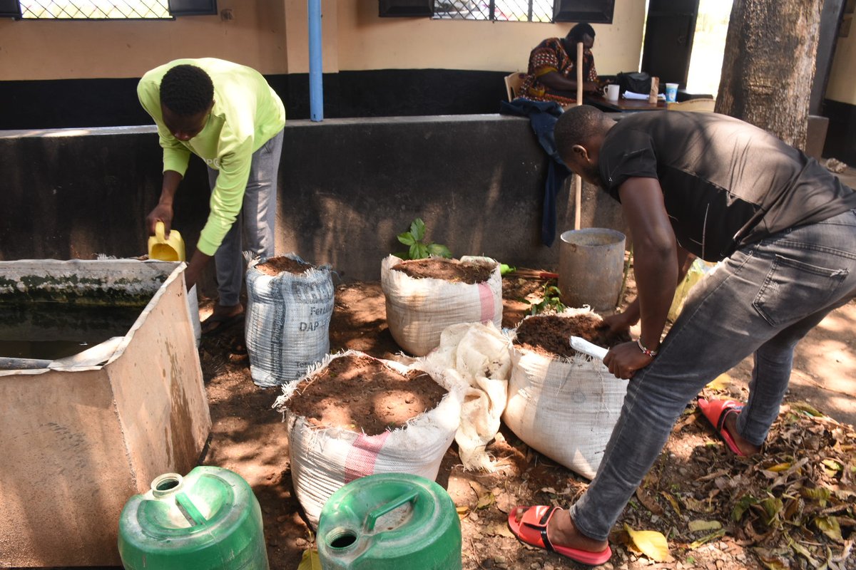 ManyattaYouth_m's tweet photo. #SAVETPROGRAM
#ShrinkingVEspace
@ManyattaYouth_m believes that Peace to young people means, " Food on the table and Money in their pockets" For this reason through #SAVETprogram we are offering alternative livelihood opportunities including Agri-business and Art-preneurship. https://t.co/99KS7F0Uam