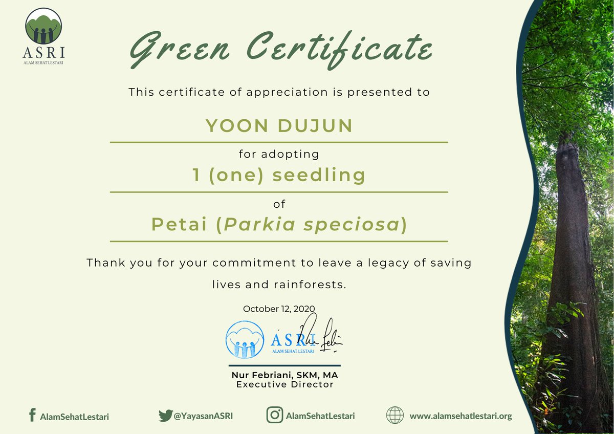 bemymoderato's tweet photo. adopted six baby trees to celebrate
Beast/Highlight anniversary and will be planted in Taman Nasional Gunung Palung, West Borneo, Indonesia
this is for our best leader @BeeeestDJ 💙
#11년동안_너흰_우리의_하이라이트
#하이라이트라서_고마워_11주년_축하해 https://t.co/l0ZC4hhOsG