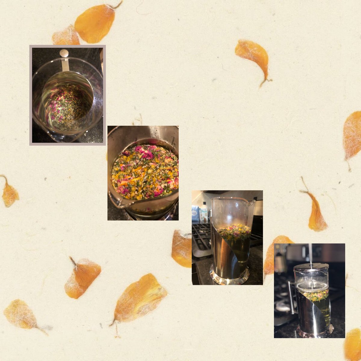 lilyroseokc's tweet image. I was gifted French press from my brother &amp;amp; the best part of my new tea making toy is you can use loose leaf or tea bags!  Yes, I’ve started making loose leaf tea...contact me for your customer order!

#ihavethebestbrotherever
#localOKC #cudtomtea #teainafrenchpress #lilyrosetea