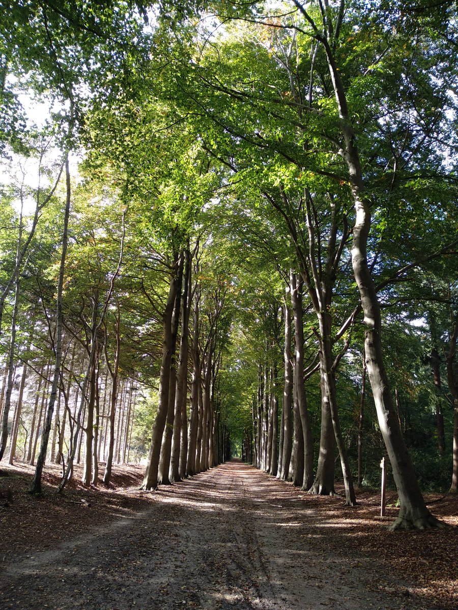 <a href="/SW4Draalte/">SW4D</a> Geweldige routes, geweldige beschrijvingen. Wat is Salland toch mooi!