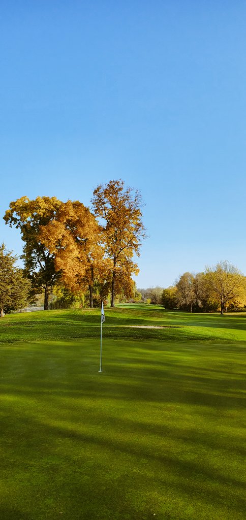pqgolf's tweet photo. This is Cherokee CC here is Madison, WI. #11, a par 5 that is tight and you need to be in specific spots to get a chance at birdie.
......
#cherokeecc #wisconsingolf #golfgolfgolf #golfwisconsin #wisconsingolfcourses #madisonwi #madtown #playmoregolf https://t.co/WzsOGSBtw2