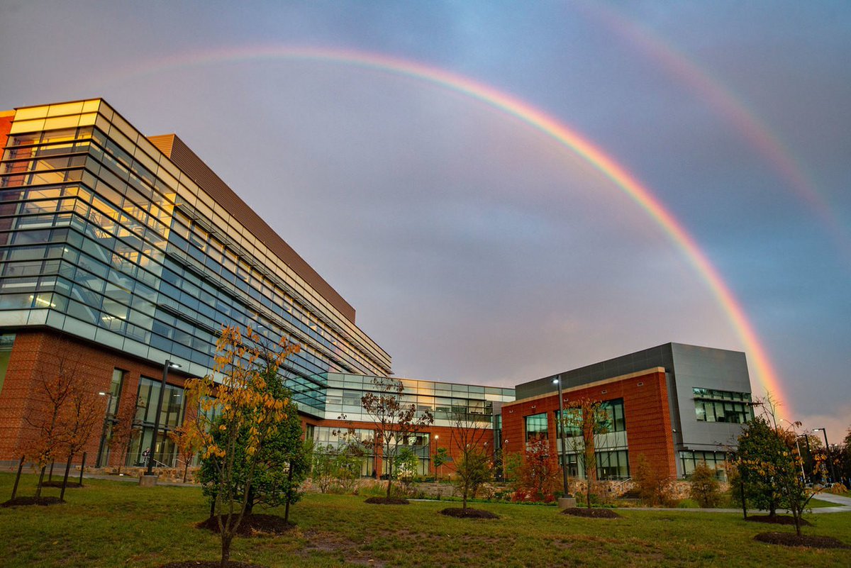 BioengGMU's tweet photo. Read about our new Mason Bioengineering clinical immersion initiative:
https://t.co/voD4gLbDyF @GMUPres @KenBallVa https://t.co/VhAKfS7kiw