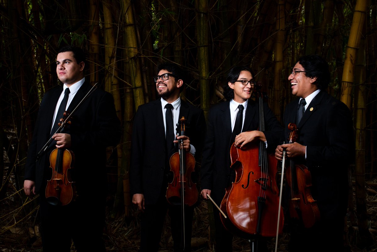 ForoCSAleman's tweet photo. #BeethovenEspirituLibertador No te pierdas este sábado 17 de octubre a #cuartetosharberg en el Simposio Digital regional en homenaje a #Beethoven250 a las 6.15 pm por Facebook @ForoCSAleman https://t.co/FS5TRAqh3O