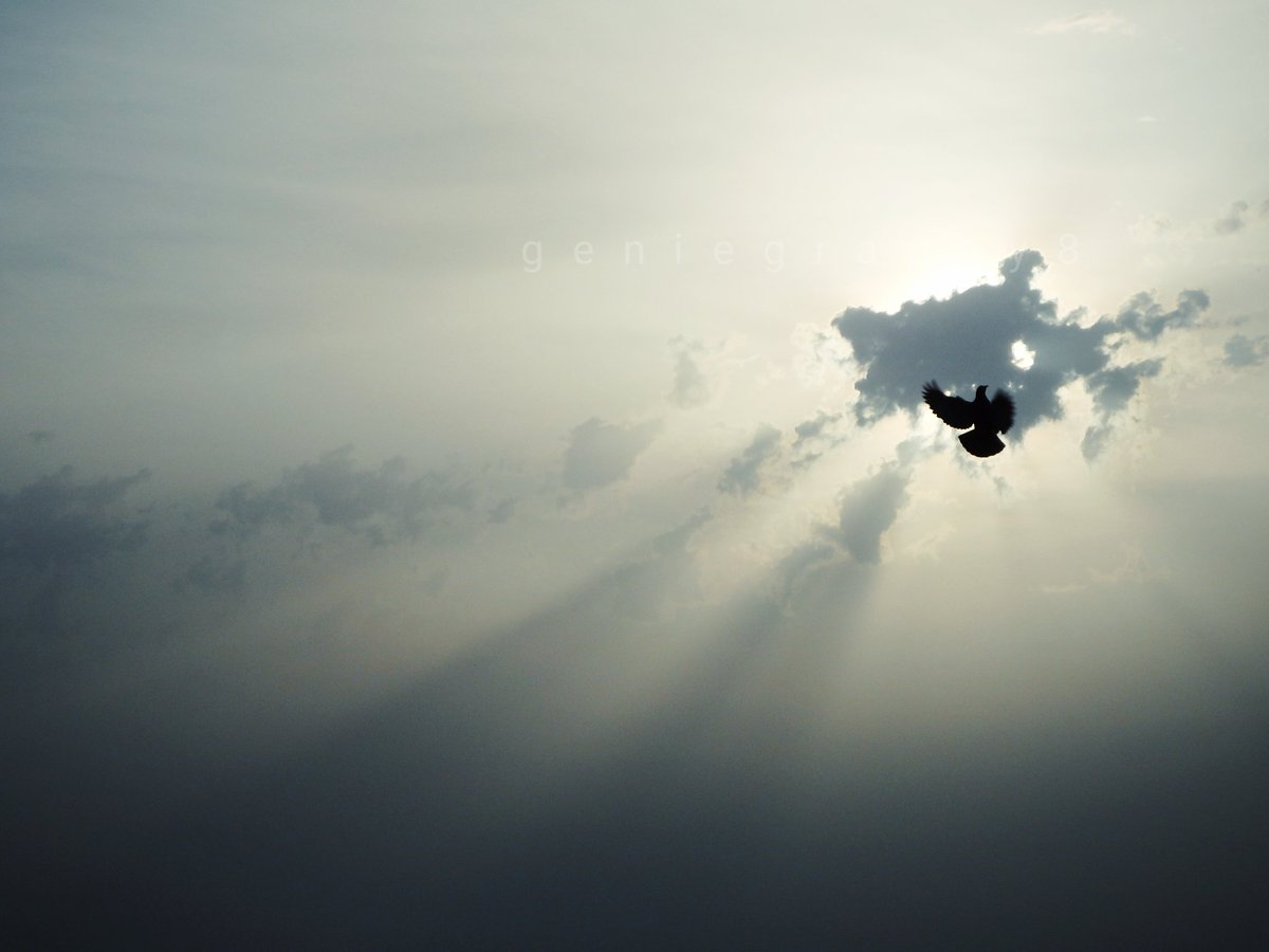 DNA_Frequency's tweet photo. Closing the day with...
To be trusted is a greater compliment than being loved.❤
#photography #photo
#sky #geniegraphy8 https://t.co/N7jrwTPFsC