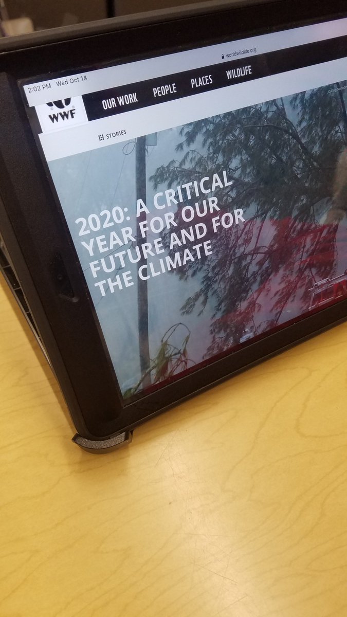 MrBuffolino's tweet photo. Teaching Enduring Issues through current events!!! #mineolaAU #mineolaproud #enduringissues https://t.co/0h7Tzut2TC
