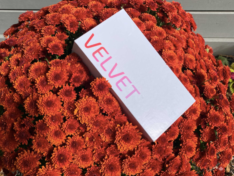 MobileSyrup's tweet photo. This contest ends today: Win a Bell LG Velvet 5G! https://t.co/IpNTUDCe4P https://t.co/ST2QrsM5ht