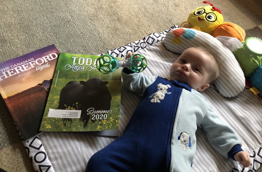 These are our kind of pre-naptime stories!

<a href="/cdnangus/">Canadian Angus</a> <a href="/CAN_Hereford/">Canadian Hereford</a> 

Our little cattleman! 

@scott_macdon