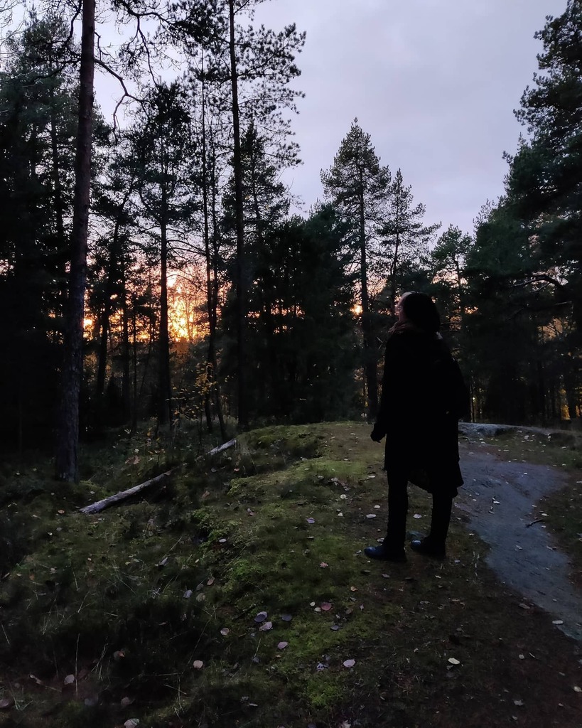 nirer's tweet photo. I have been sick and stuck inside so this sunset felt extra nice. 🍄 https://t.co/6nRIP0sv8l https://t.co/zJ6KpsVw5t