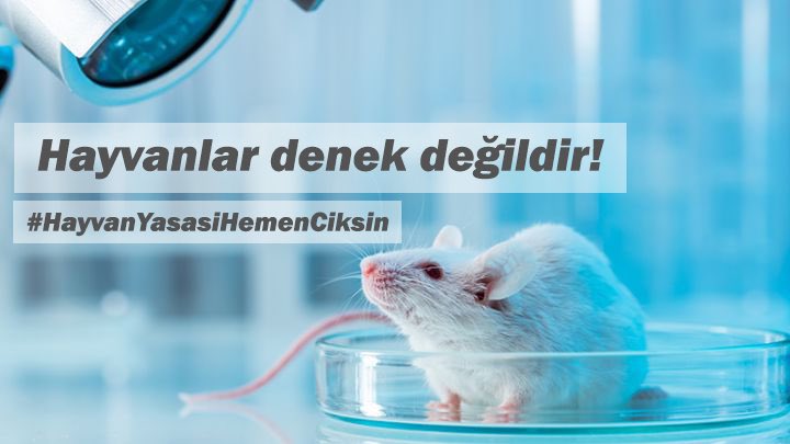 Deney adı altında hayvanlara yapılan işkencelere son verin!  #HayvanYasasiHemenCiksin