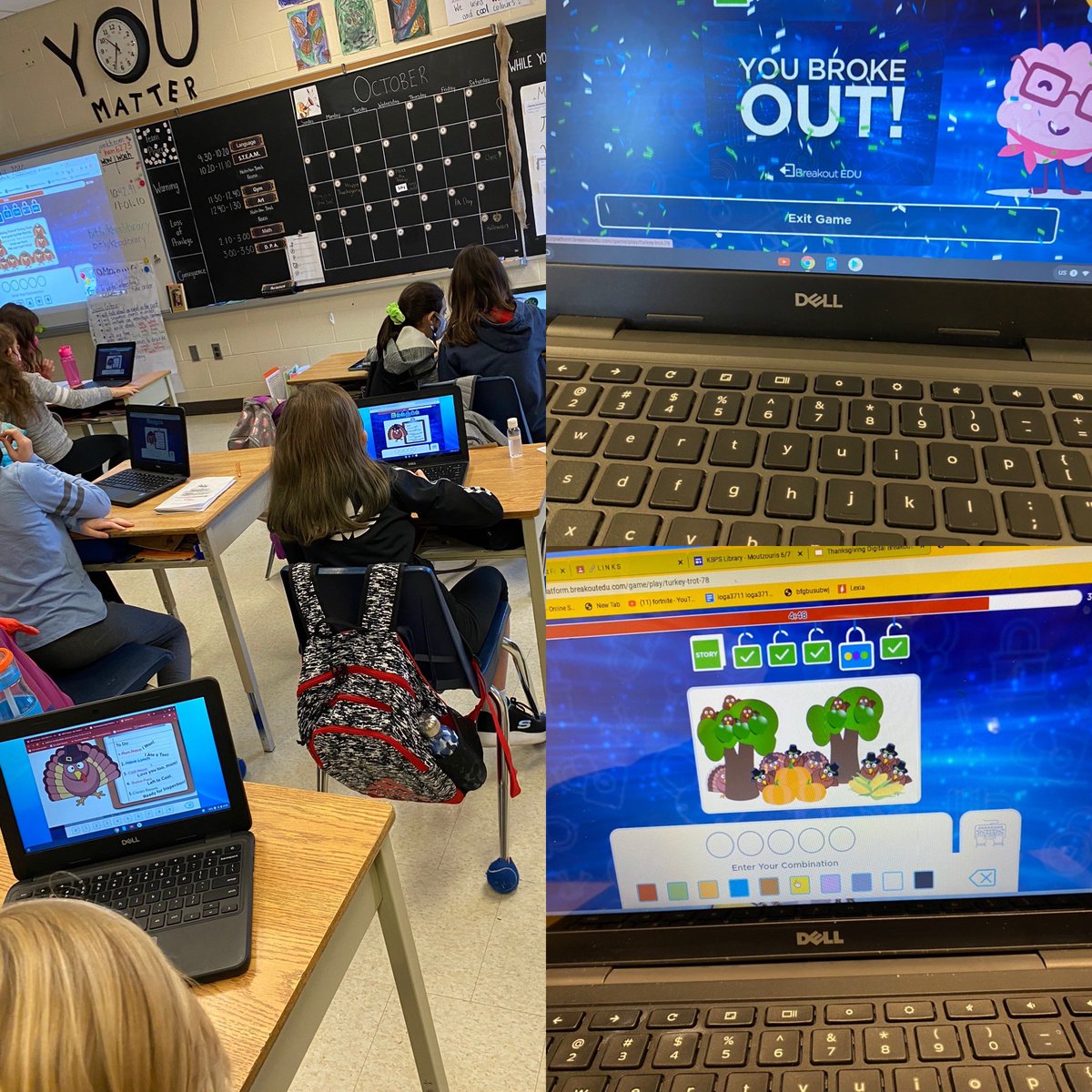 Killarney Beach P.S. tweet media