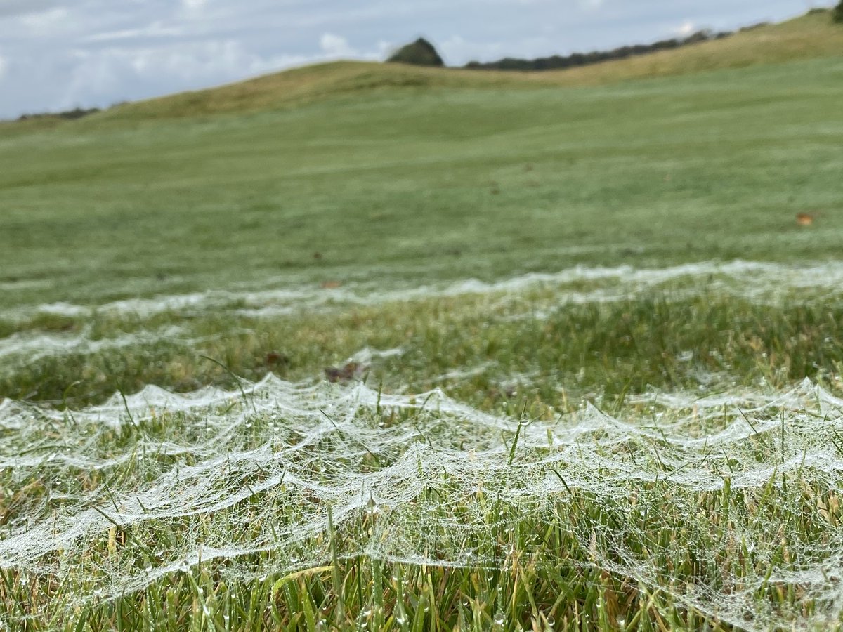Nature at its best this morning <a href="/mhunterdesigns/">Maura Hunter</a> <a href="/JefferiesSean/">Sean J Photography</a> <a href="/DancingDerek/">Derek Long</a> <a href="/RPBCork/">Right Price Blinds</a> <a href="/CarlowWeather/">Carlow Weather</a>