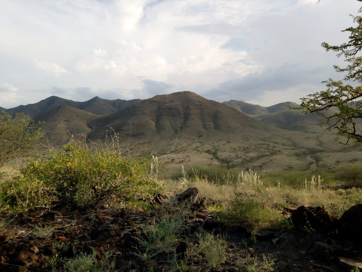 ALeadekei's tweet photo. Siampu mountain ridges .

The scenic Masikita river at a place where it's called noolderende is visible.

Samburu county has enough beautiful mountains , spectacular skies and serene rivers.

 It has enough lush forests, flowered fields, and sandy beaches. https://t.co/LyWXNO1odk