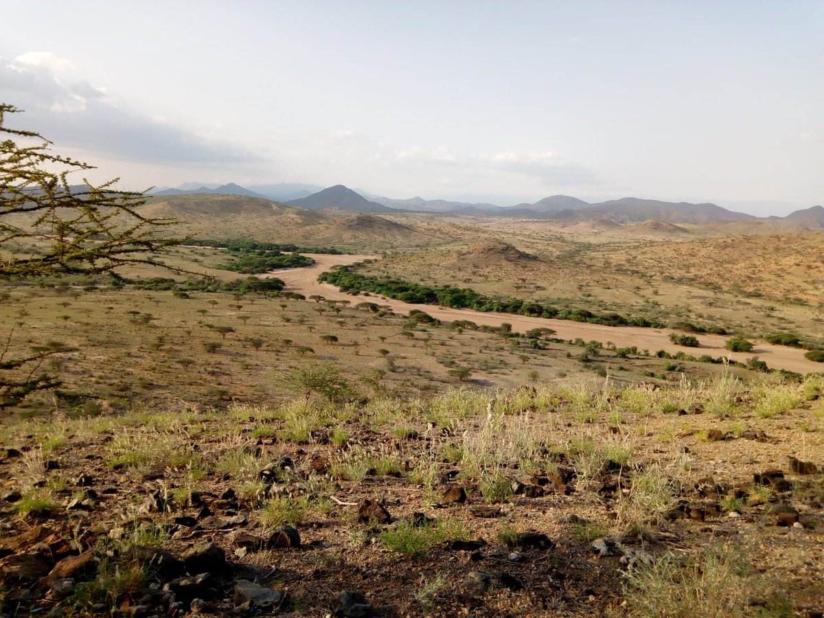 ALeadekei's tweet photo. Siampu mountain ridges .

The scenic Masikita river at a place where it's called noolderende is visible.

Samburu county has enough beautiful mountains , spectacular skies and serene rivers.

 It has enough lush forests, flowered fields, and sandy beaches. https://t.co/LyWXNO1odk